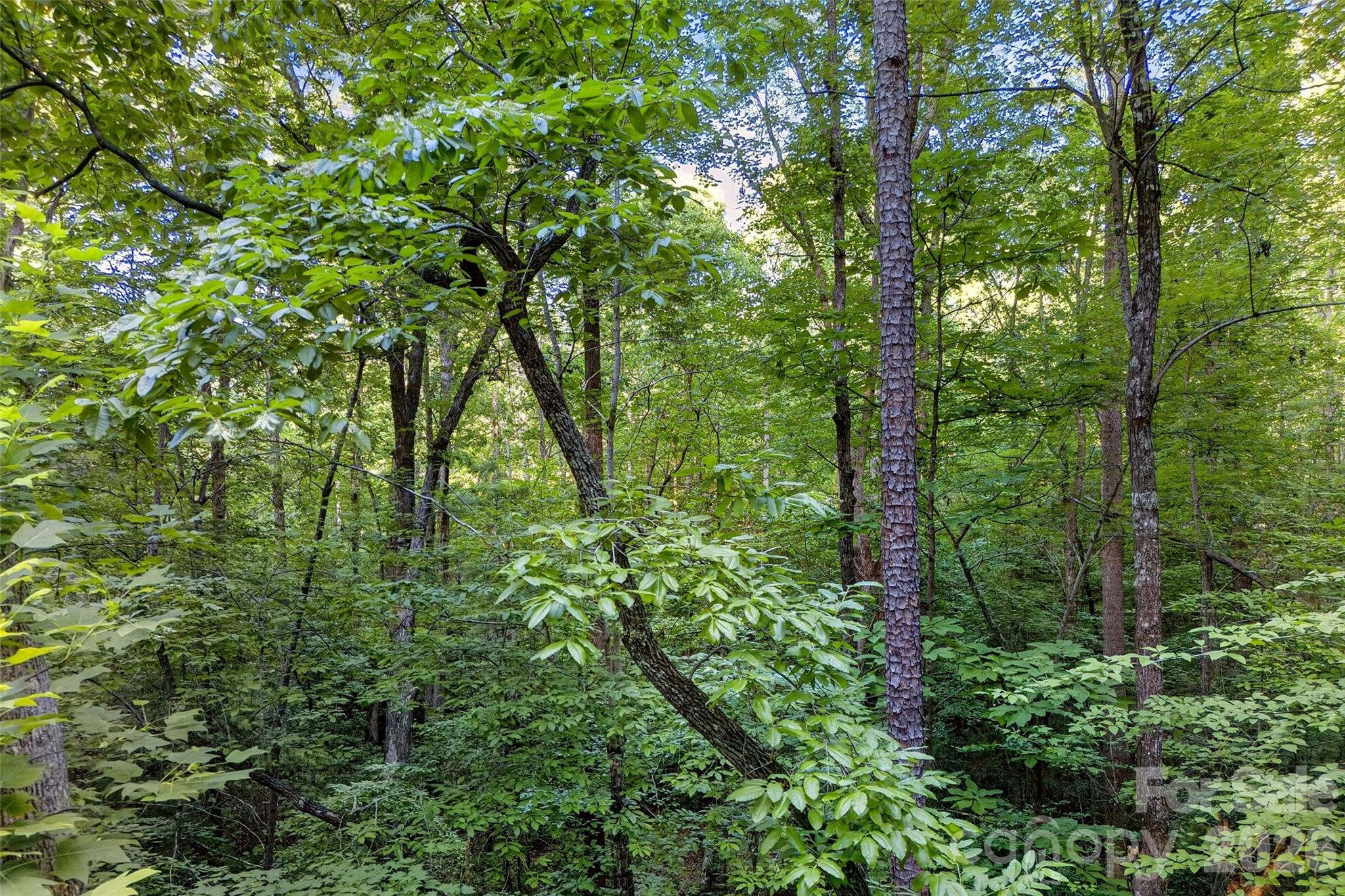 00 Yancey Road Property Photo 23