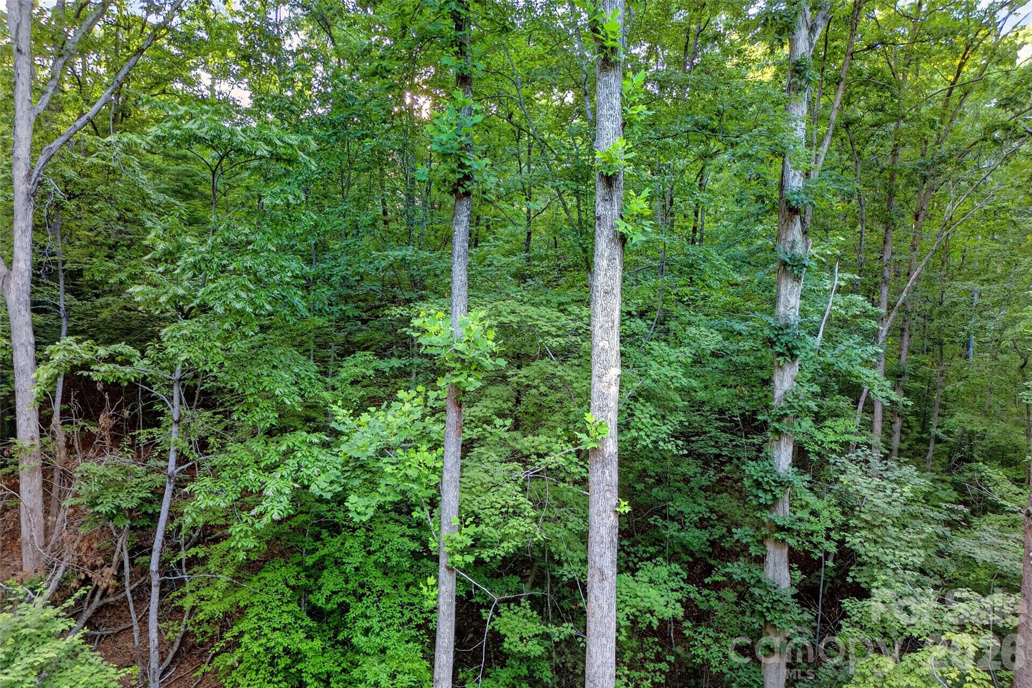 00 Yancey Road Property Photo 24