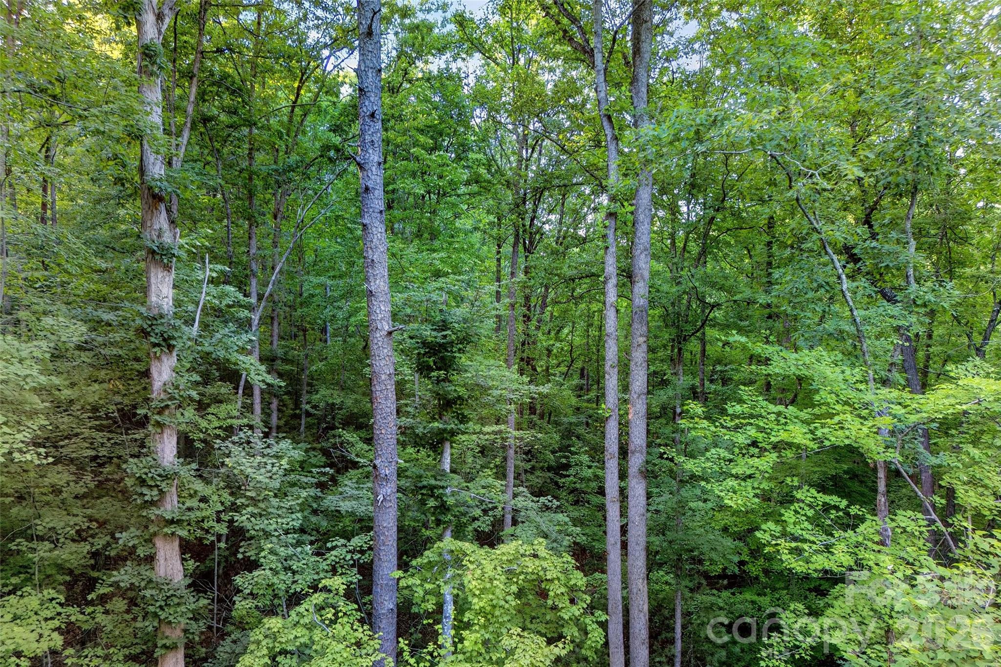 00 Yancey Road Property Photo 25