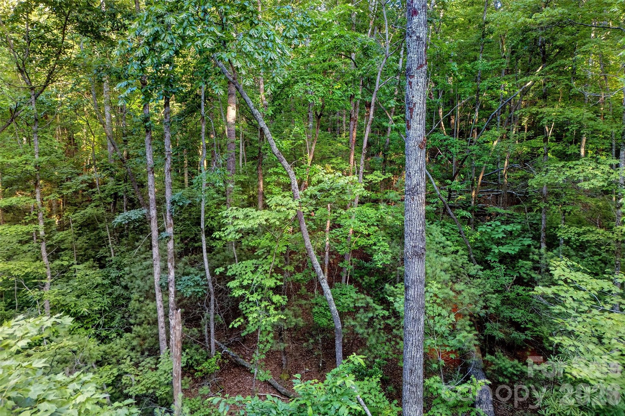 00 Yancey Road Property Photo 26