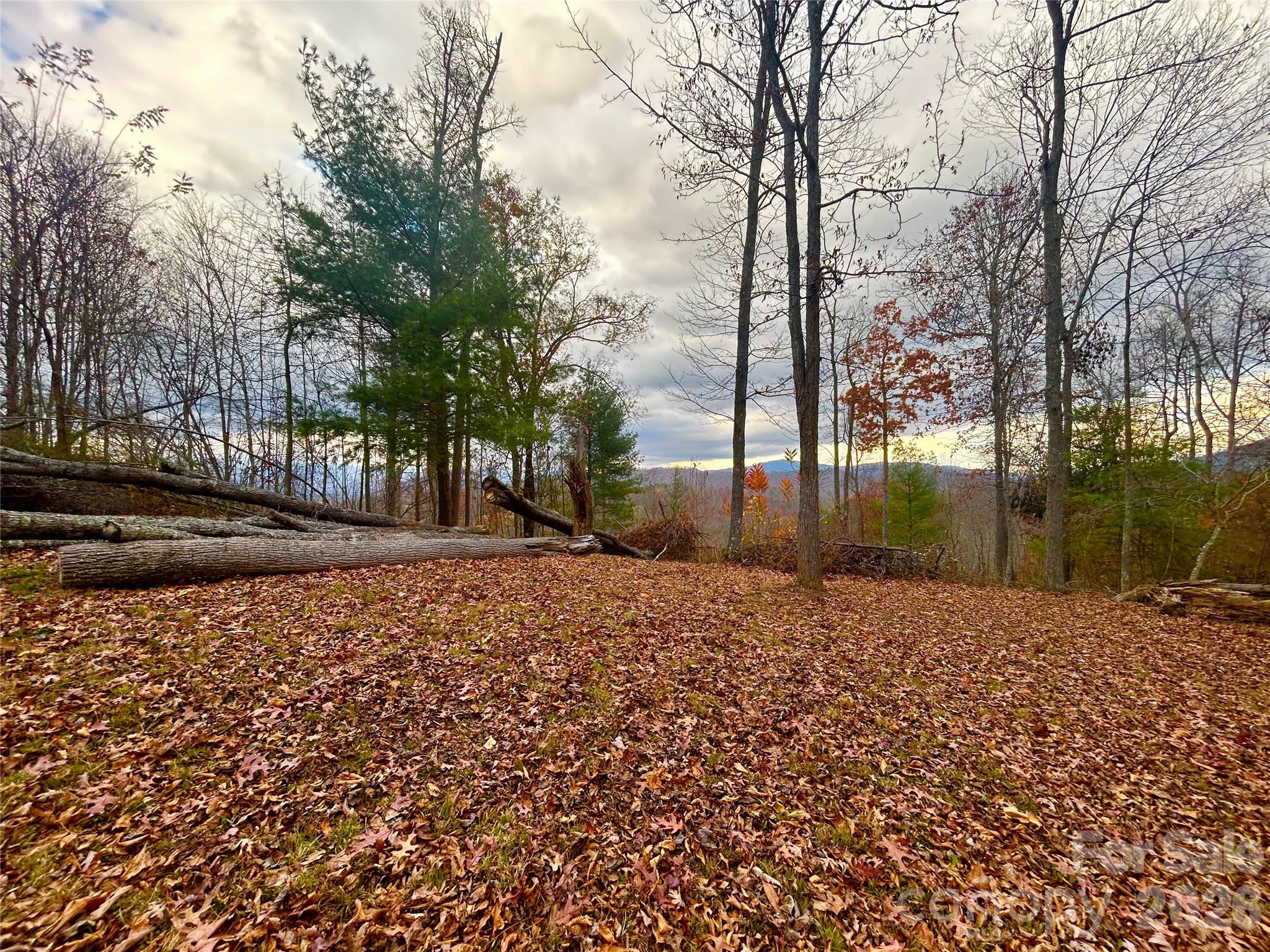 00000 High Peak Ridge 10 Property Photo 4