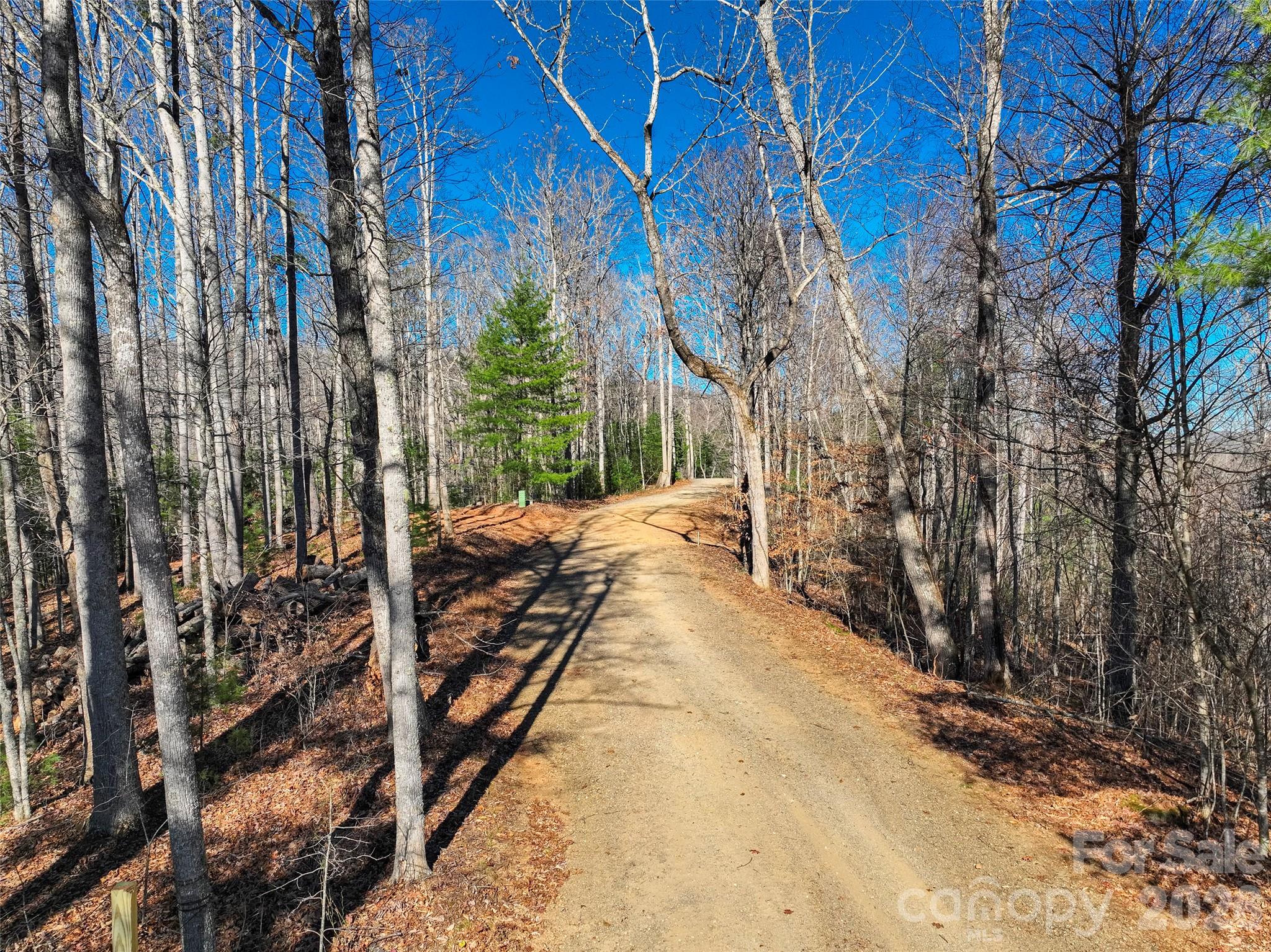 00000 High Peak Ridge 10 Property Photo 11
