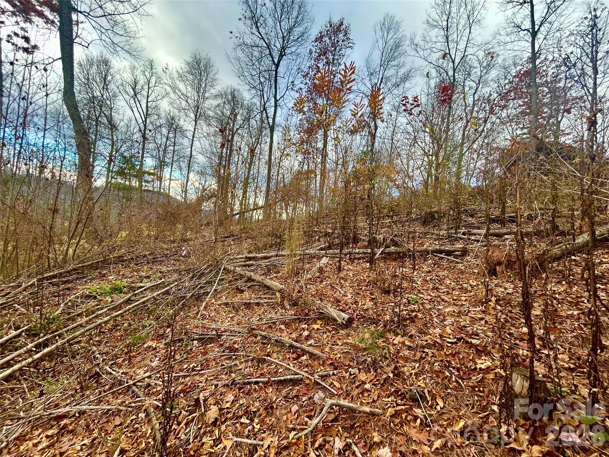 00000 High Peak Ridge 10 Property Photo 13