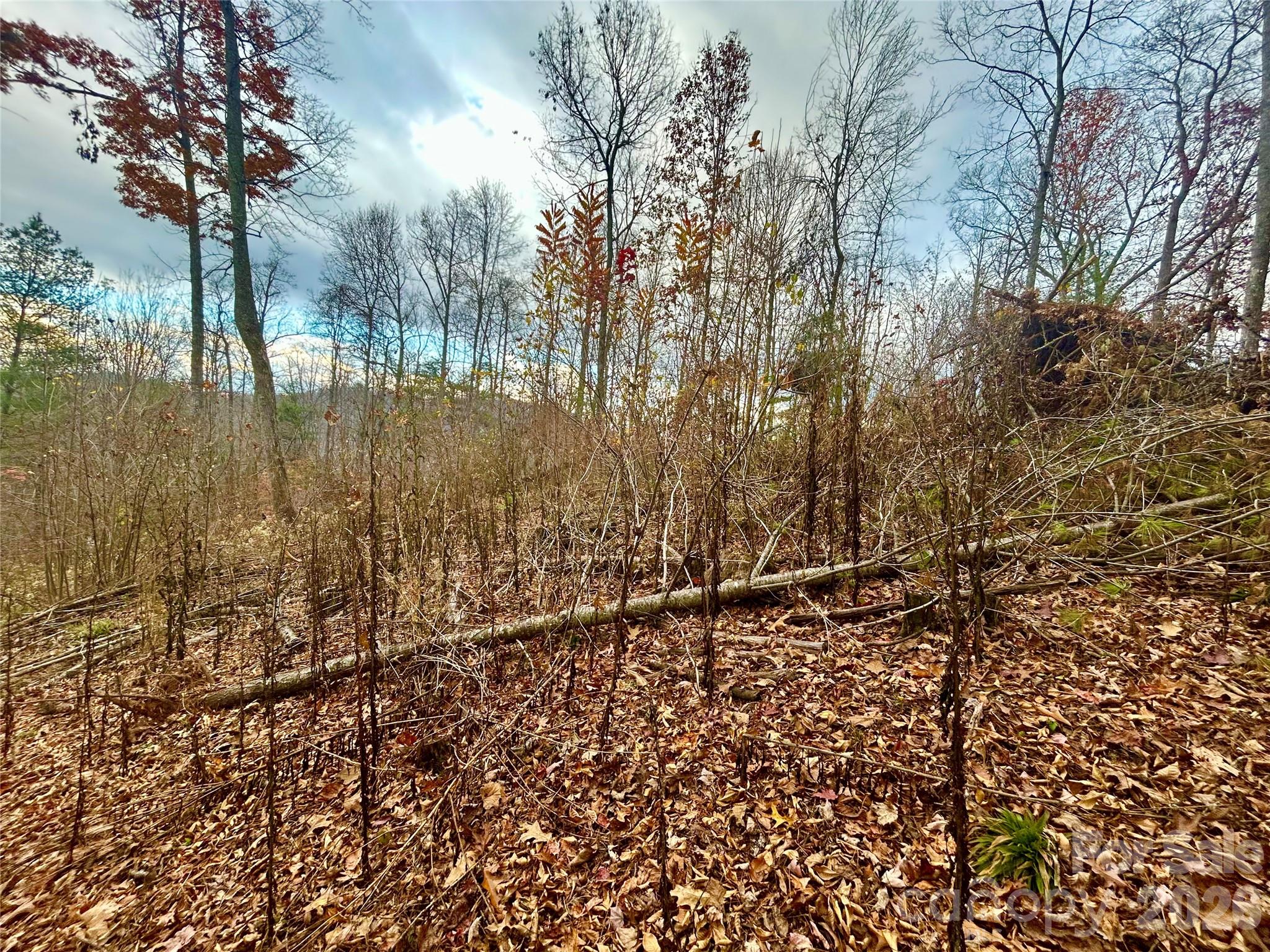 00000 High Peak Ridge 10 Property Photo 14