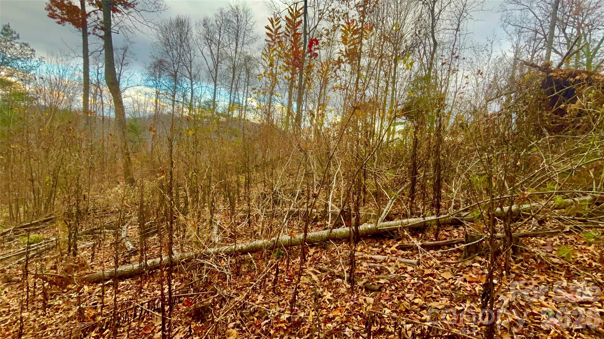 00000 High Peak Ridge 10 Property Photo 15