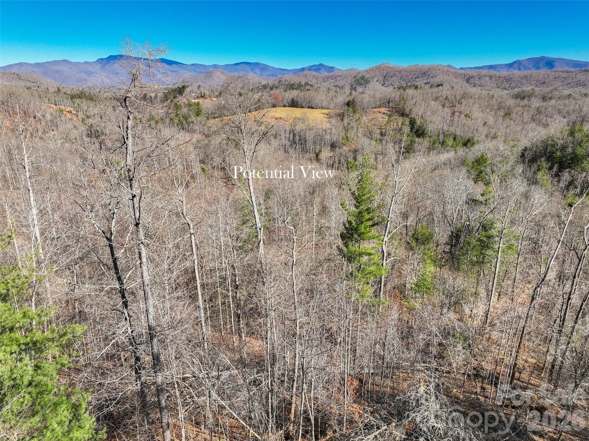 00000 High Peak Ridge 10 Property Photo 18