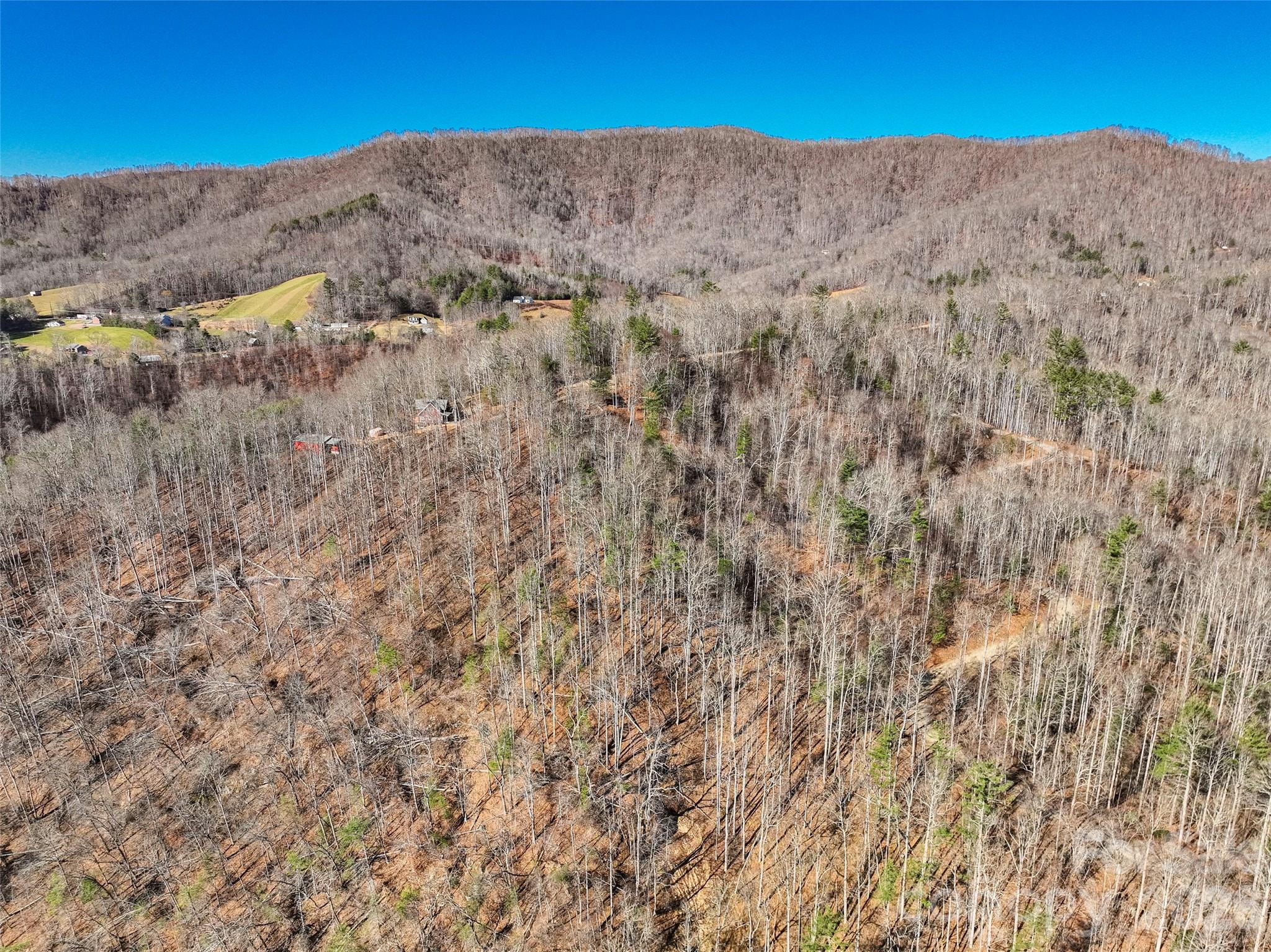 00000 High Peak Ridge 10 Property Photo 20