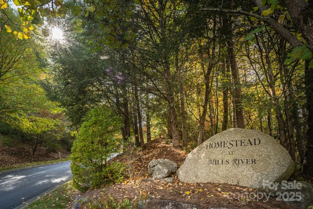 99999 Shining Rock Path Property Photo 1
