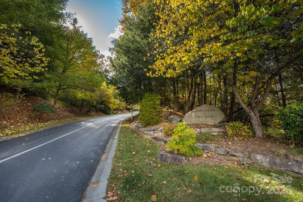 99999 Shining Rock Path Property Photo 2