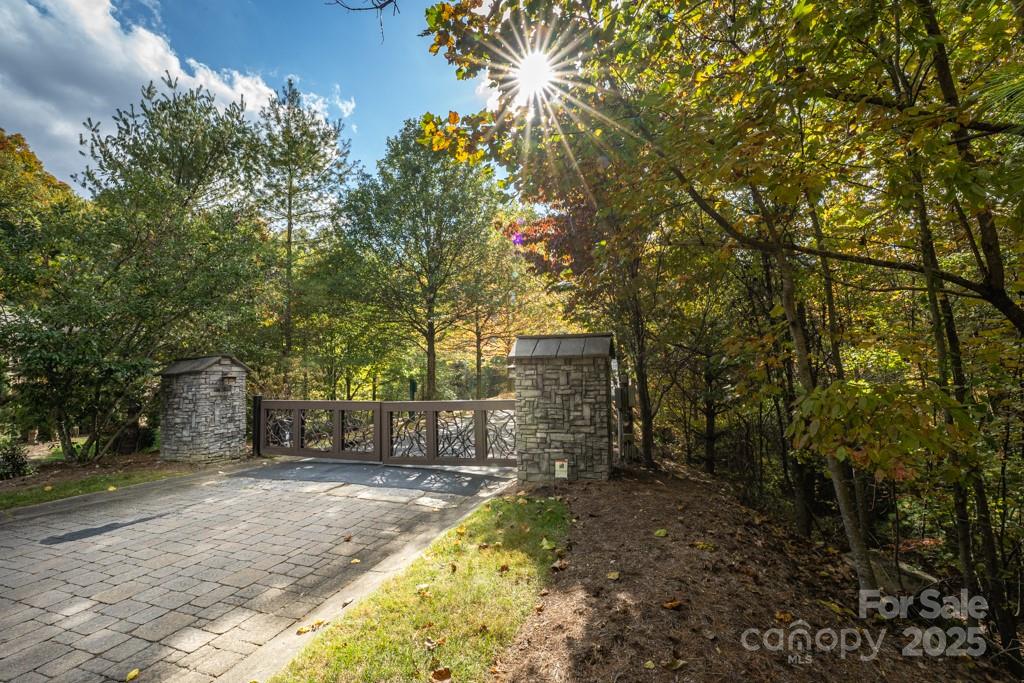 99999 Shining Rock Path Property Photo 4
