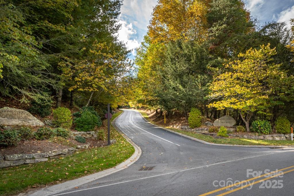99999 Shining Rock Path Property Photo 6