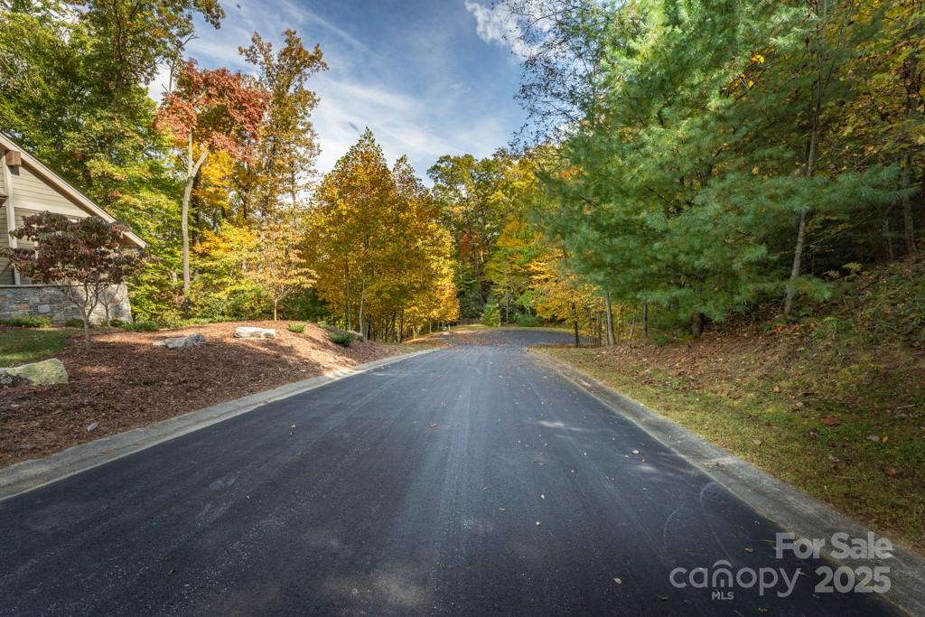 99999 Shining Rock Path Property Photo 7