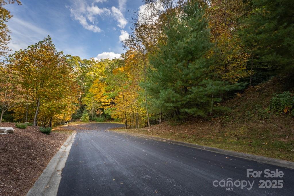 99999 Shining Rock Path Property Photo 8