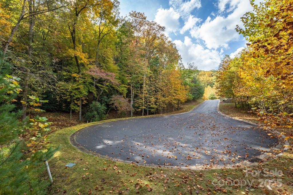 99999 Shining Rock Path Property Photo 9
