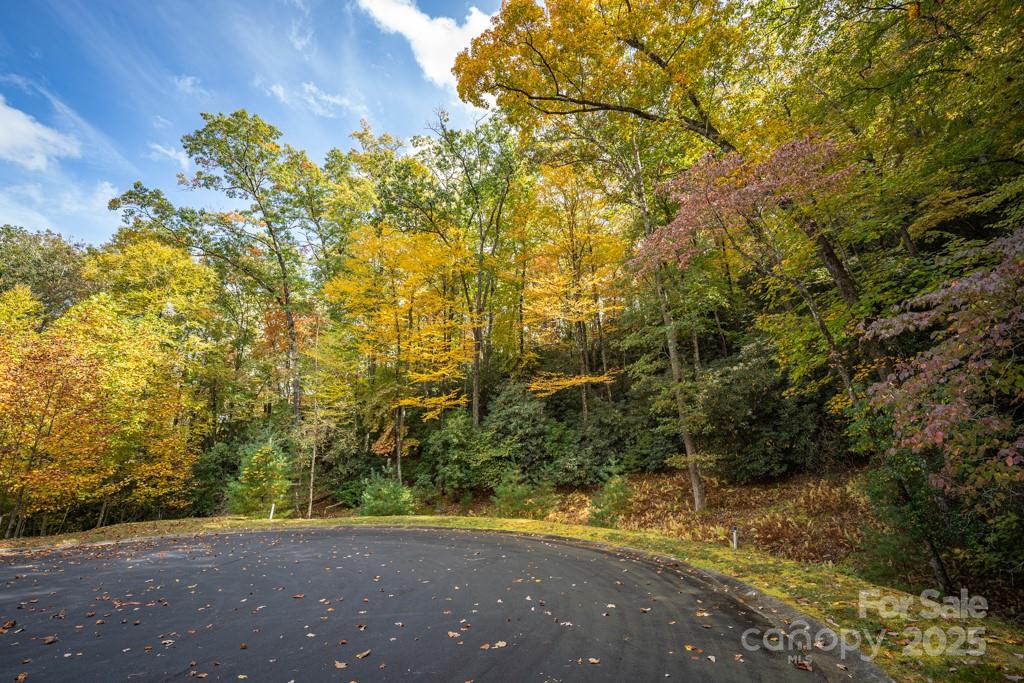 99999 Shining Rock Path Property Photo 10