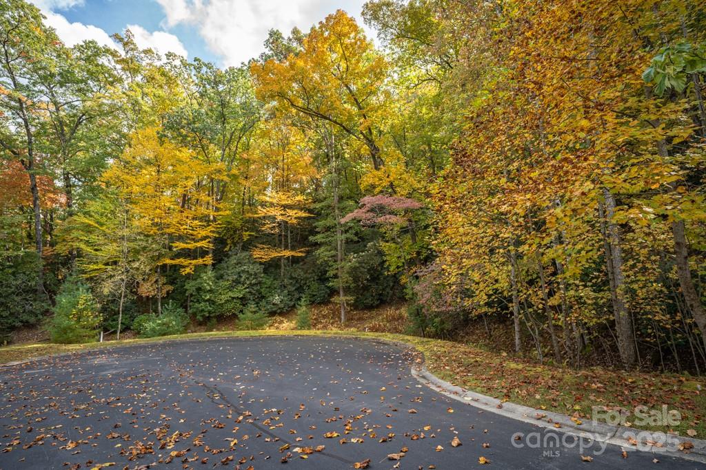 99999 Shining Rock Path Property Photo 11