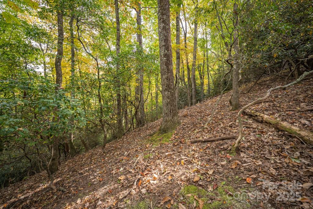 99999 Shining Rock Path Property Photo 12