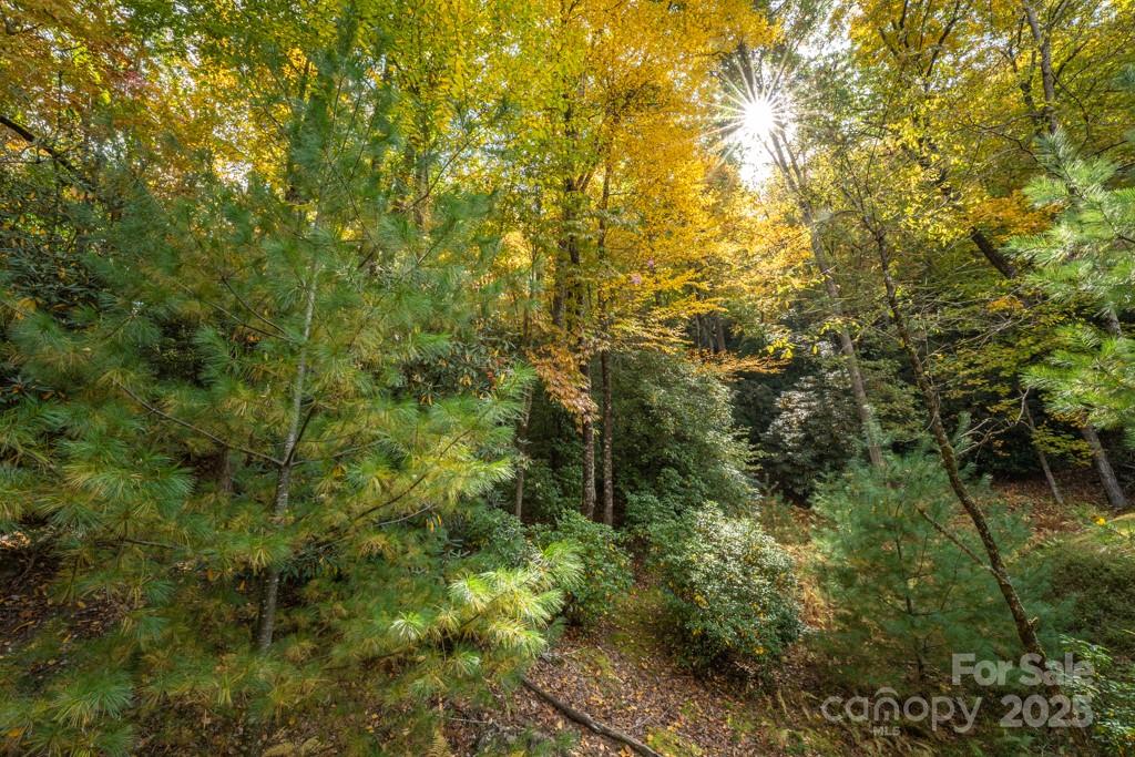 99999 Shining Rock Path Property Photo 14
