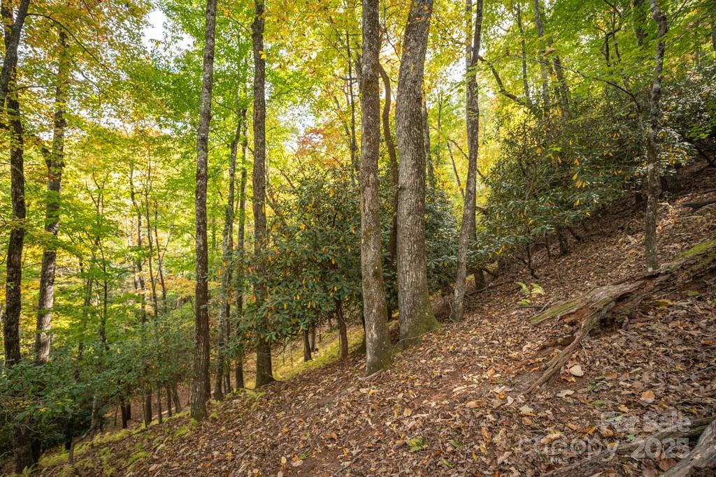 99999 Shining Rock Path Property Photo 15