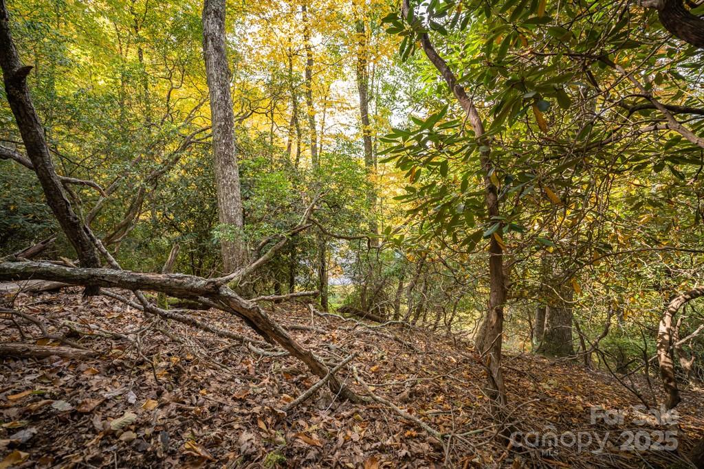99999 Shining Rock Path Property Photo 16
