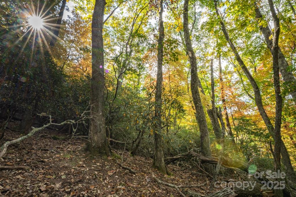 99999 Shining Rock Path Property Photo 17