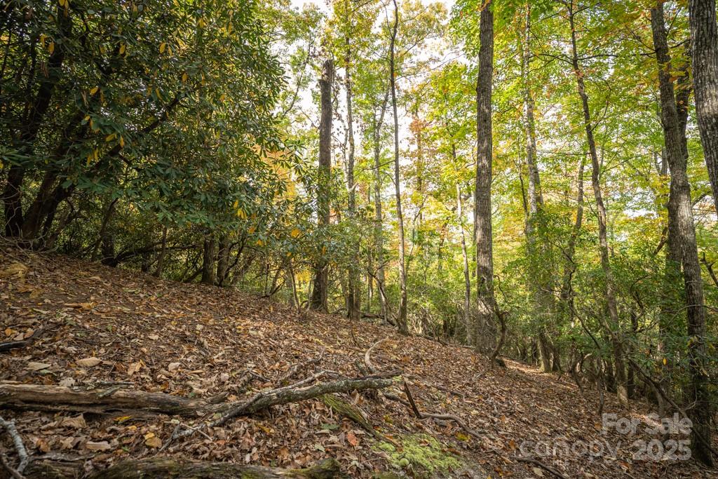 99999 Shining Rock Path Property Photo 18