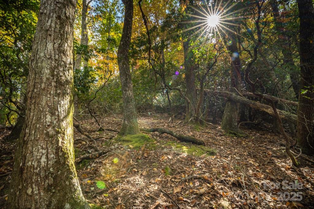 99999 Shining Rock Path Property Photo 19