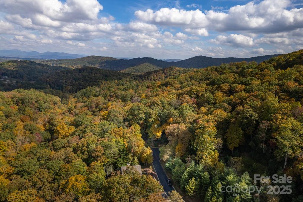 99999 Shining Rock Path Property Photo 21