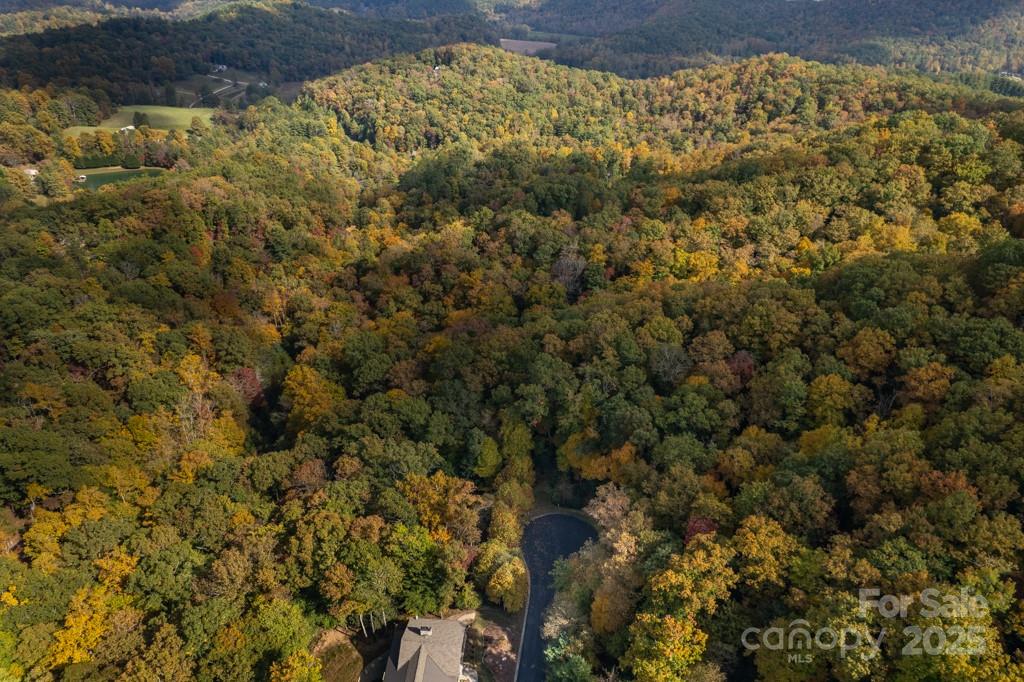 99999 Shining Rock Path Property Photo 22