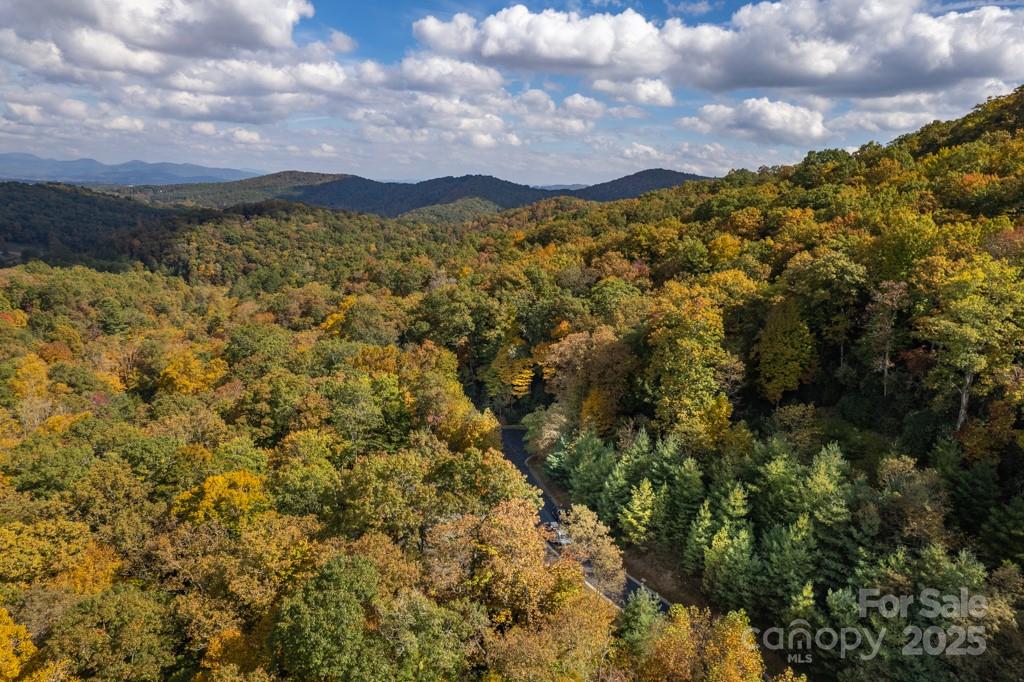 99999 Shining Rock Path Property Photo 23