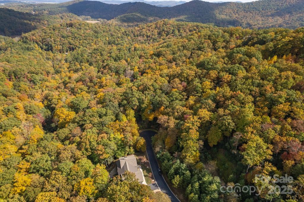 99999 Shining Rock Path Property Photo 24
