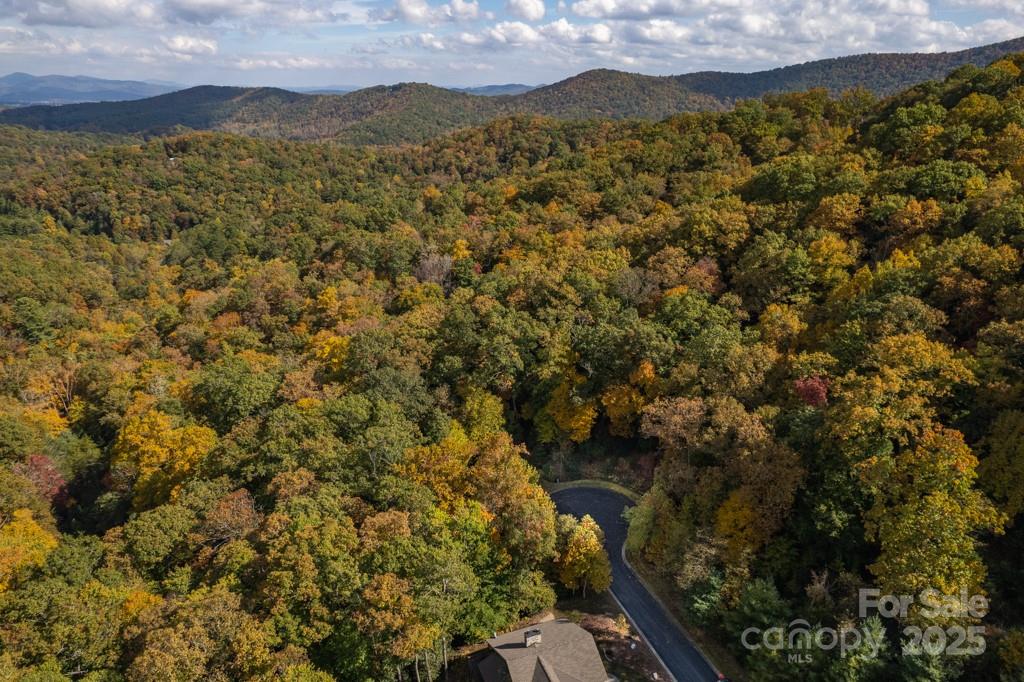 99999 Shining Rock Path Property Photo 25