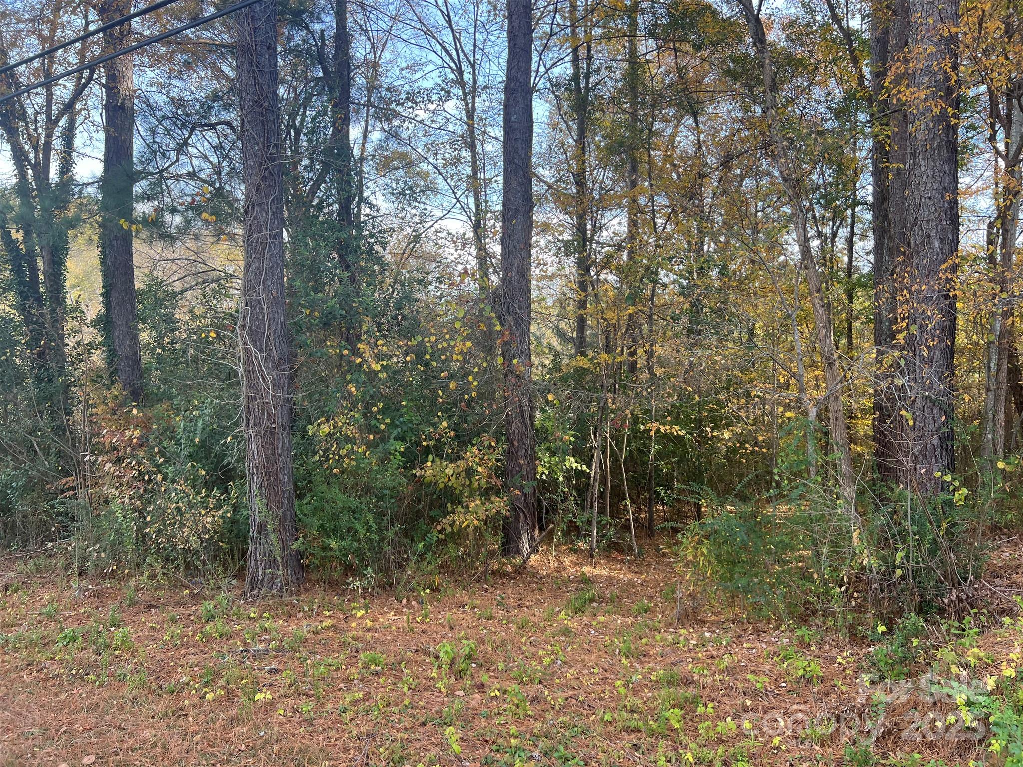 0 Alexander Street Property Photo 2