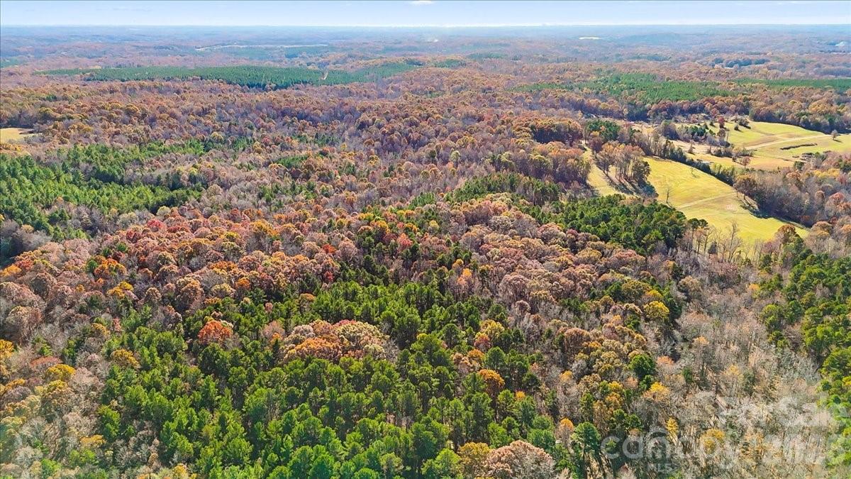 4875 Yellow Poplar Lane Property Photo 11