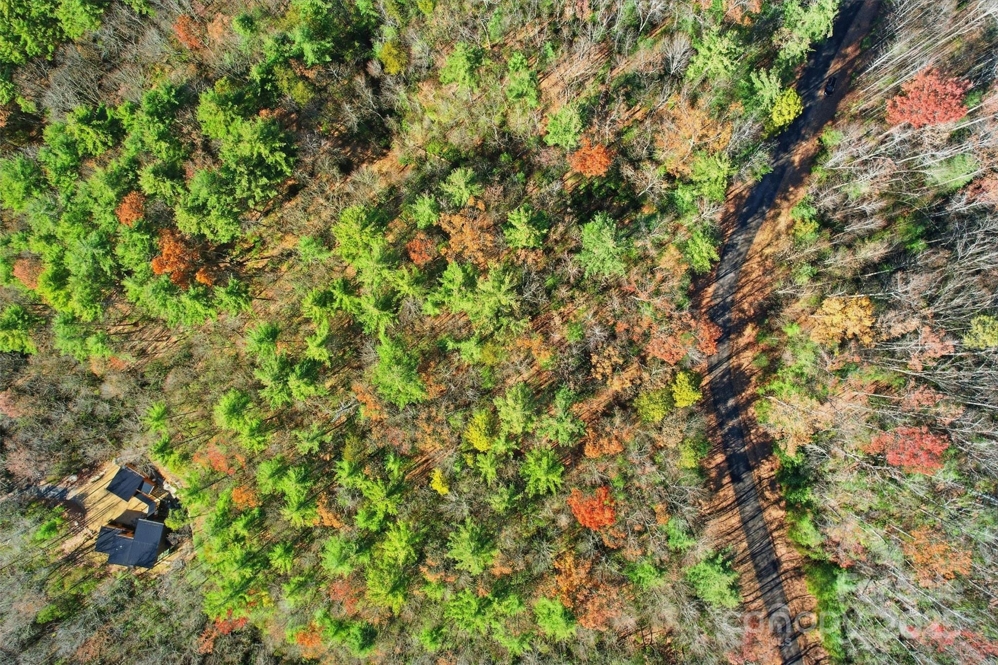 Lot 75 Peppervine Circle Property Photo 1