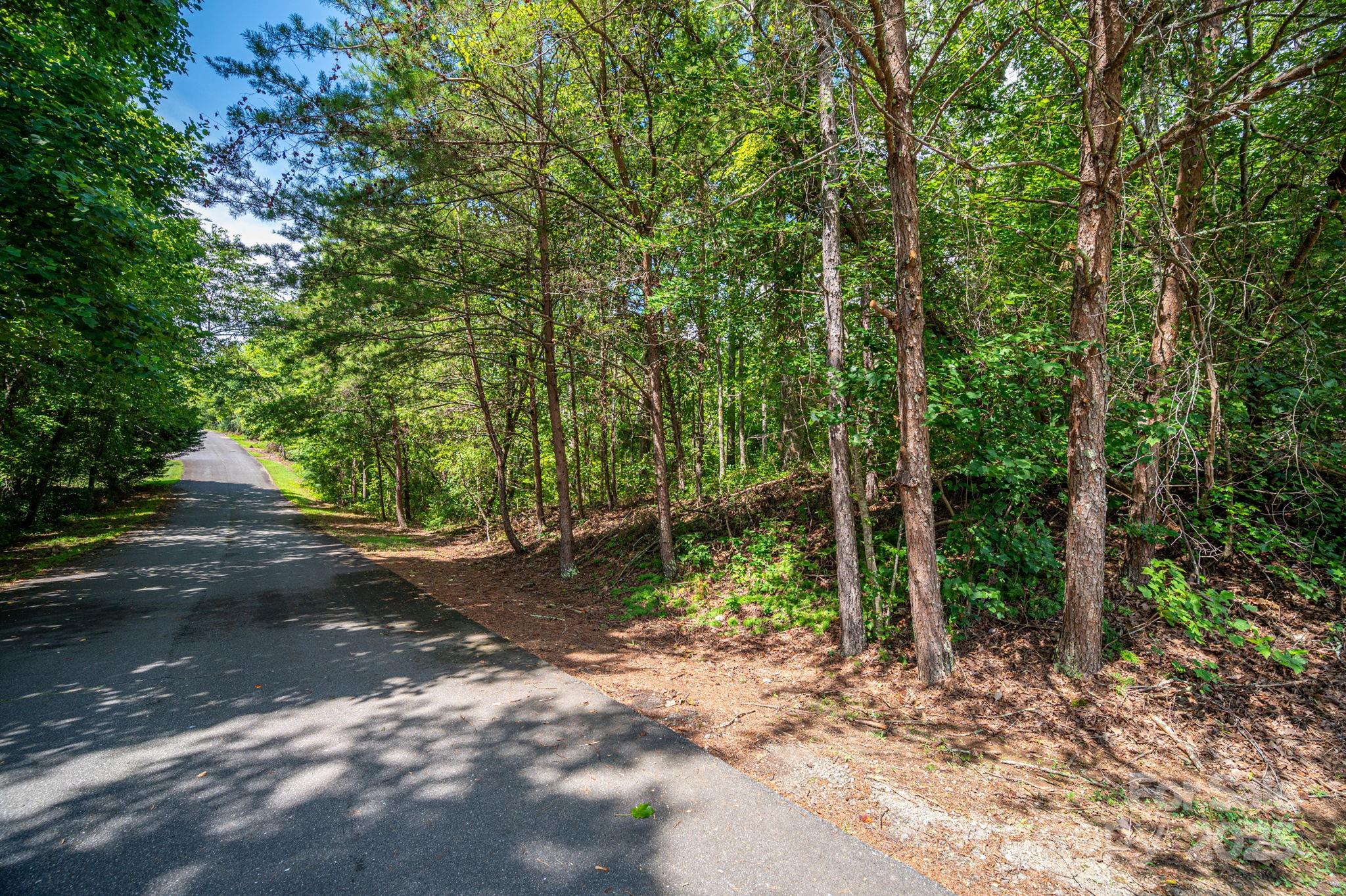 Lot 26 Line Drive Property Photo 1