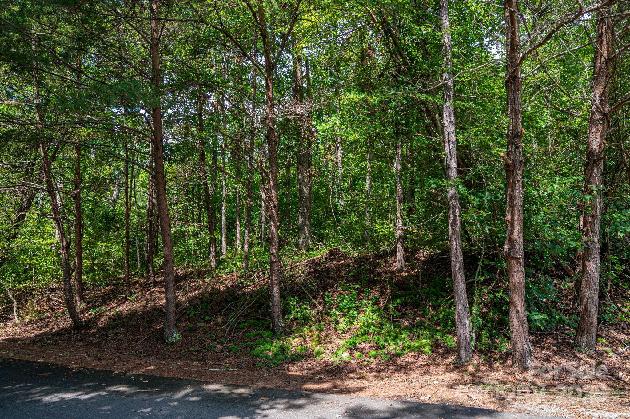 Lot 26 Line Drive Property Photo 2