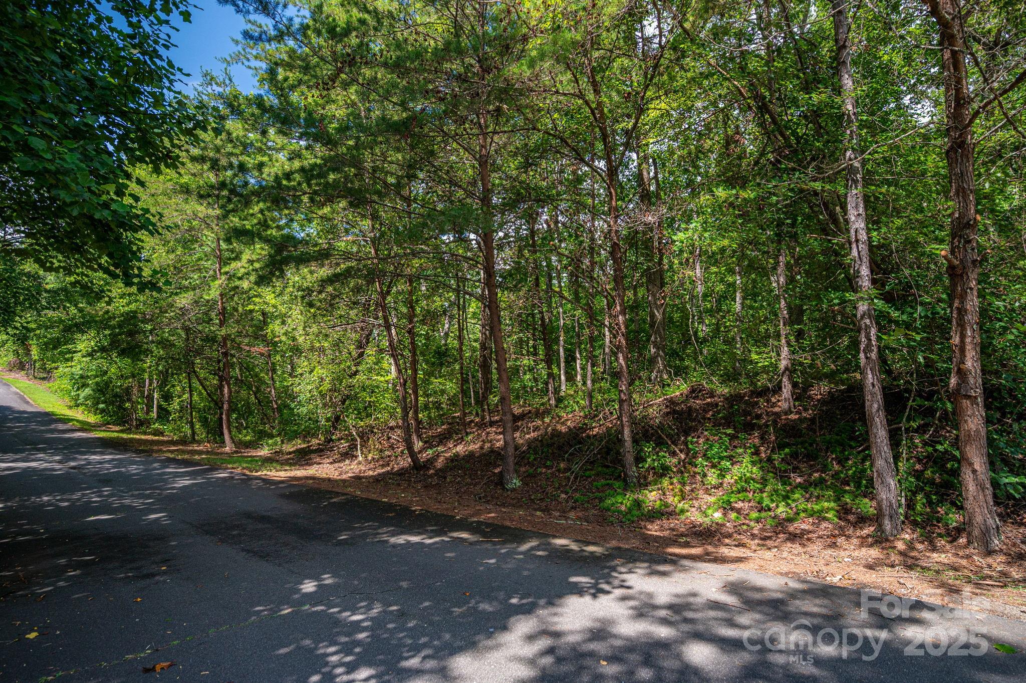 Lot 26 Line Drive Property Photo 5