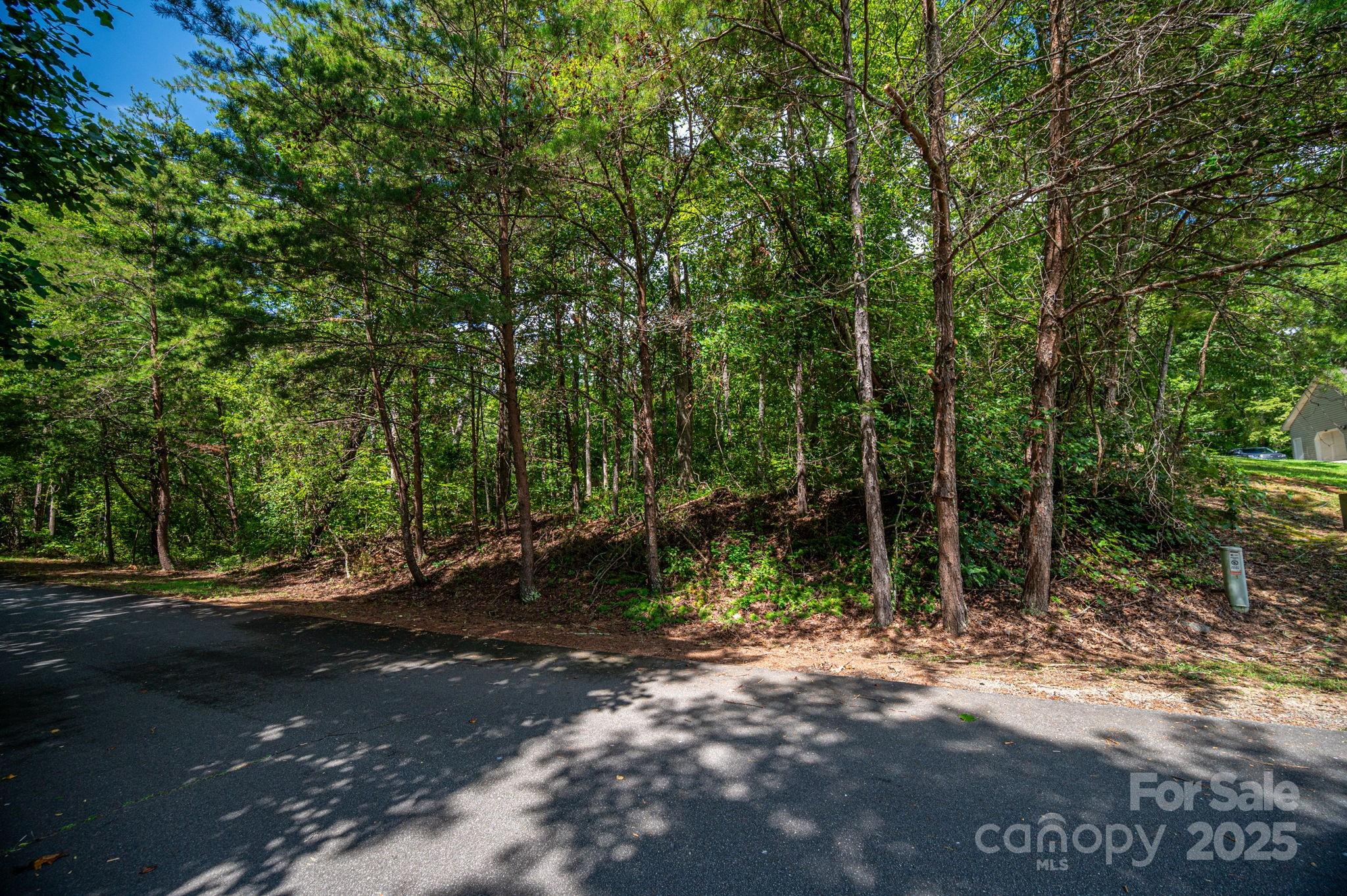 Lot 26 Line Drive Property Photo 6
