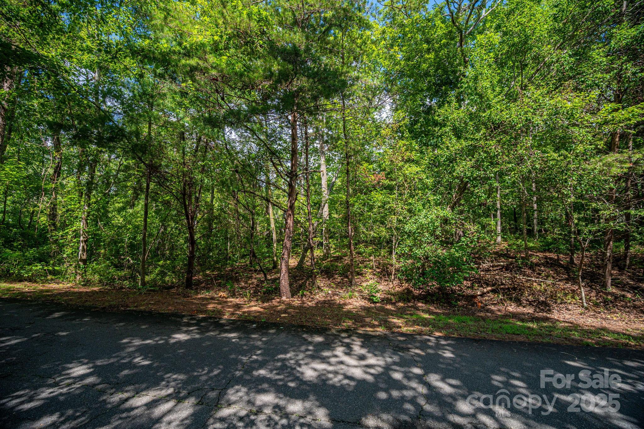 Lot 26 Line Drive Property Photo 7