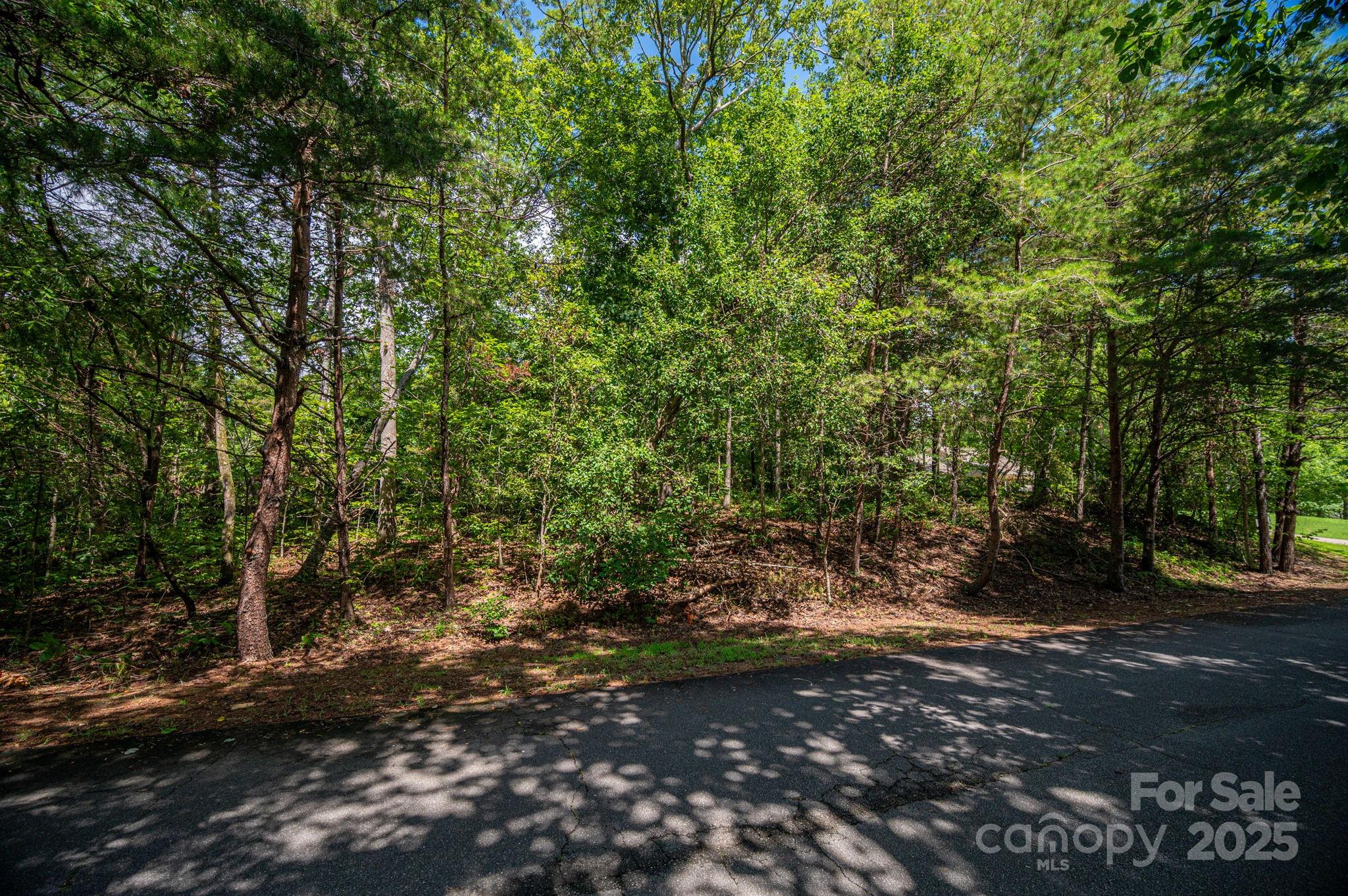 Lot 26 Line Drive Property Photo 8
