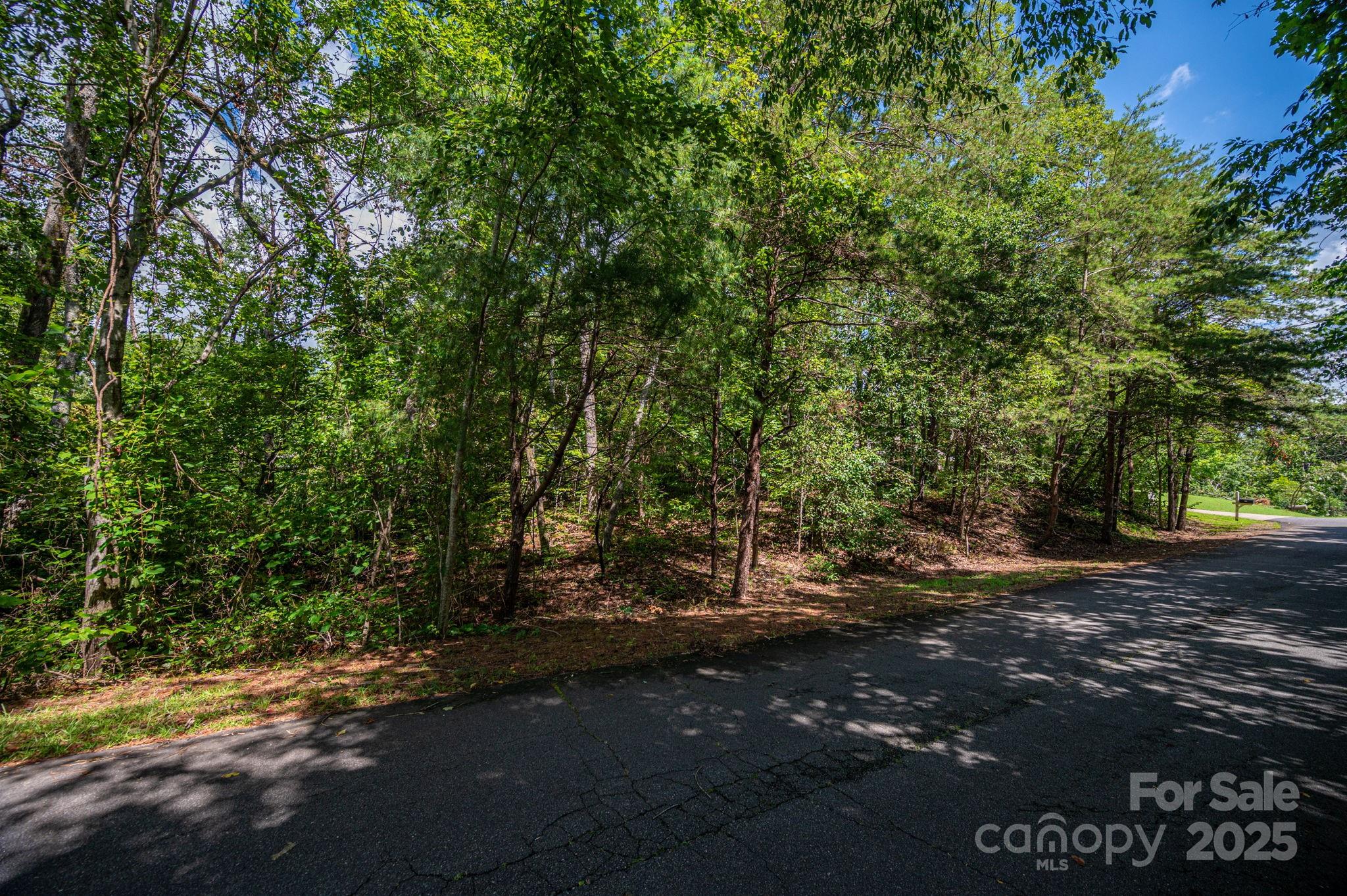 Lot 26 Line Drive Property Photo 9