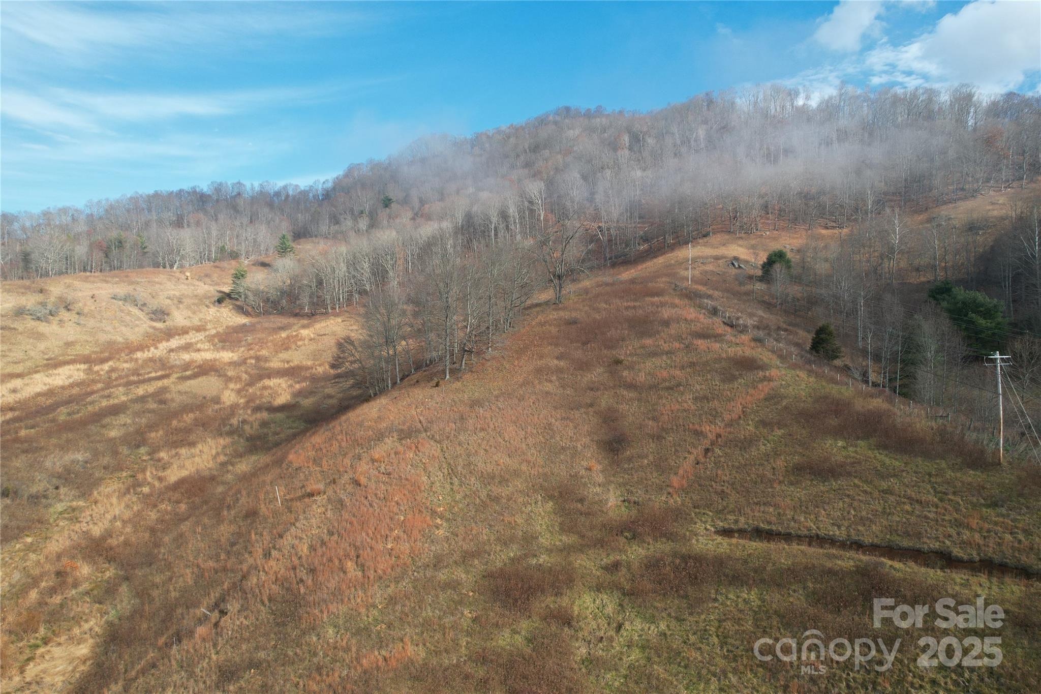 385 Fork Mountain Road Property Photo 2
