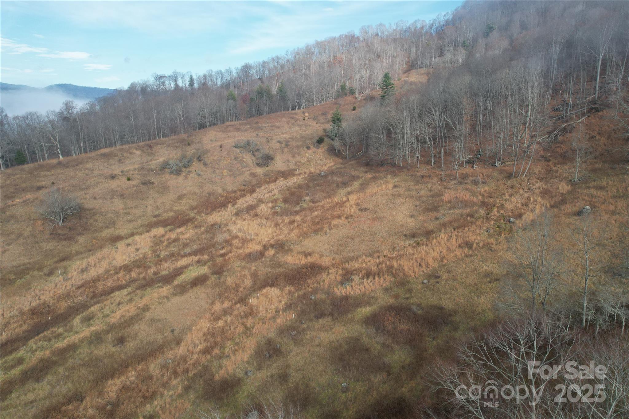 385 Fork Mountain Road Property Photo 3