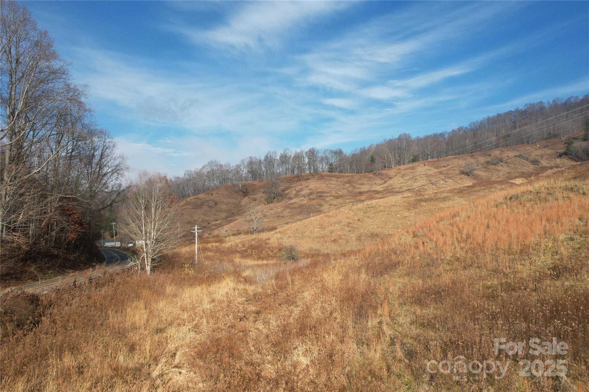 385 Fork Mountain Road Property Photo 4