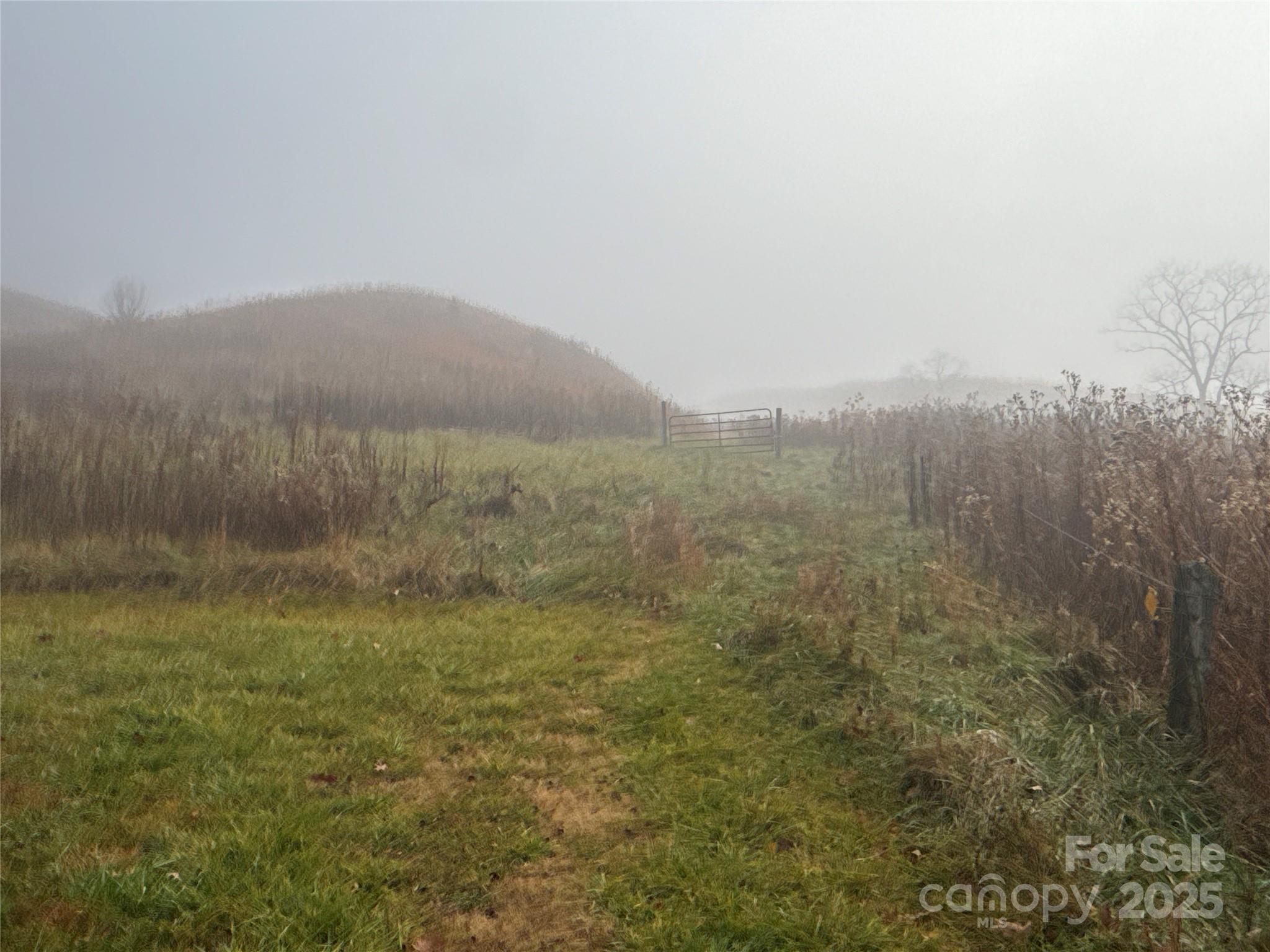 385 Fork Mountain Road Property Photo 6