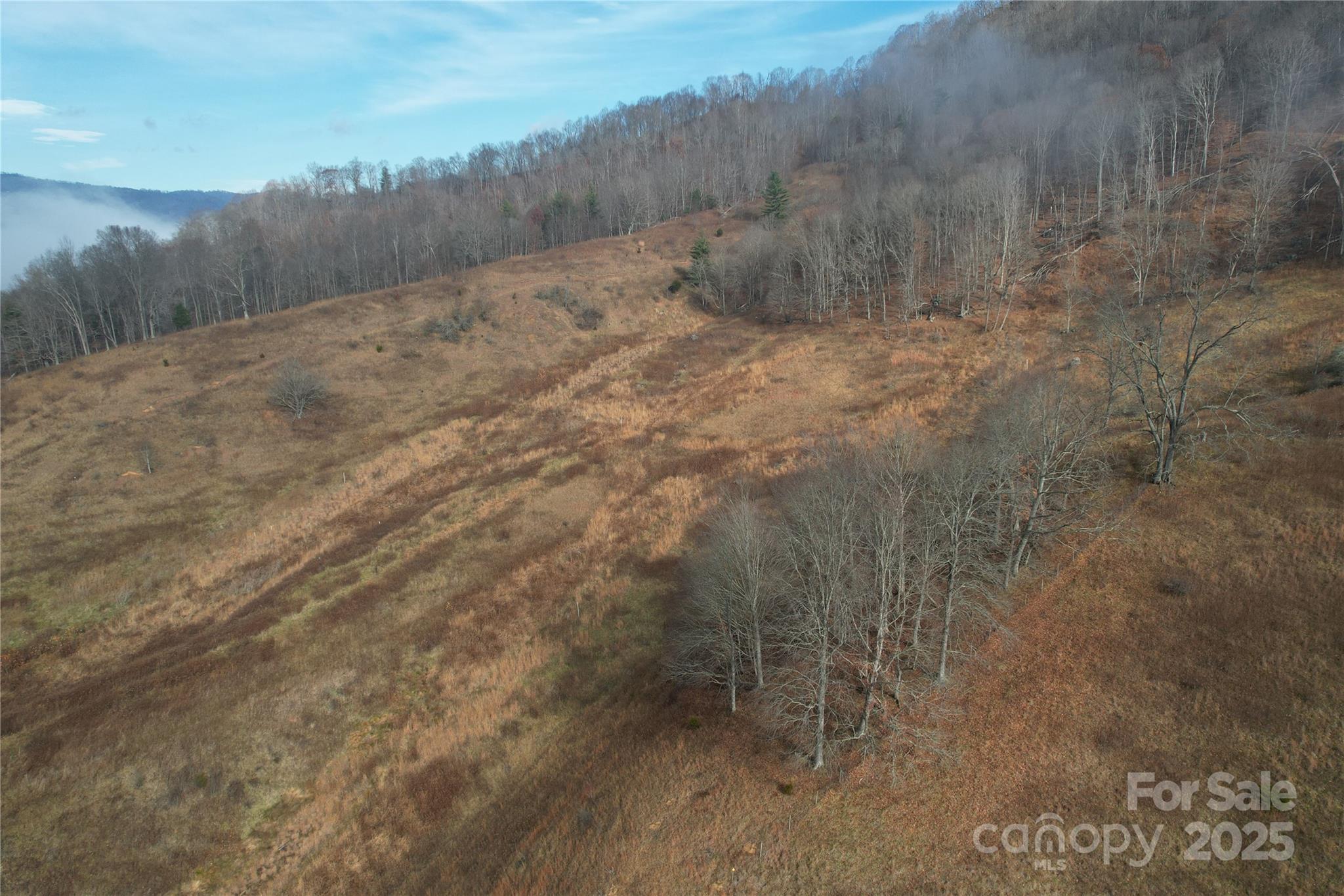 385 Fork Mountain Road Property Photo 10