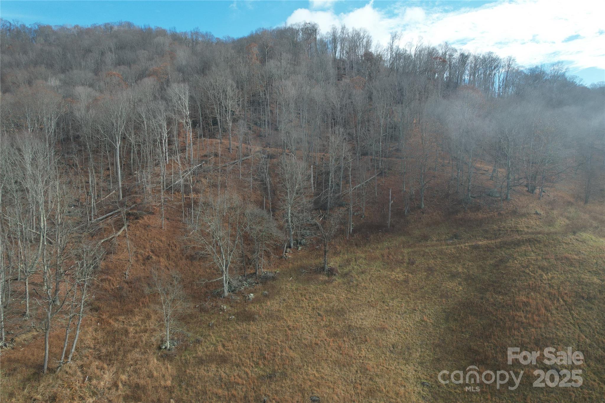 385 Fork Mountain Road Property Photo 11
