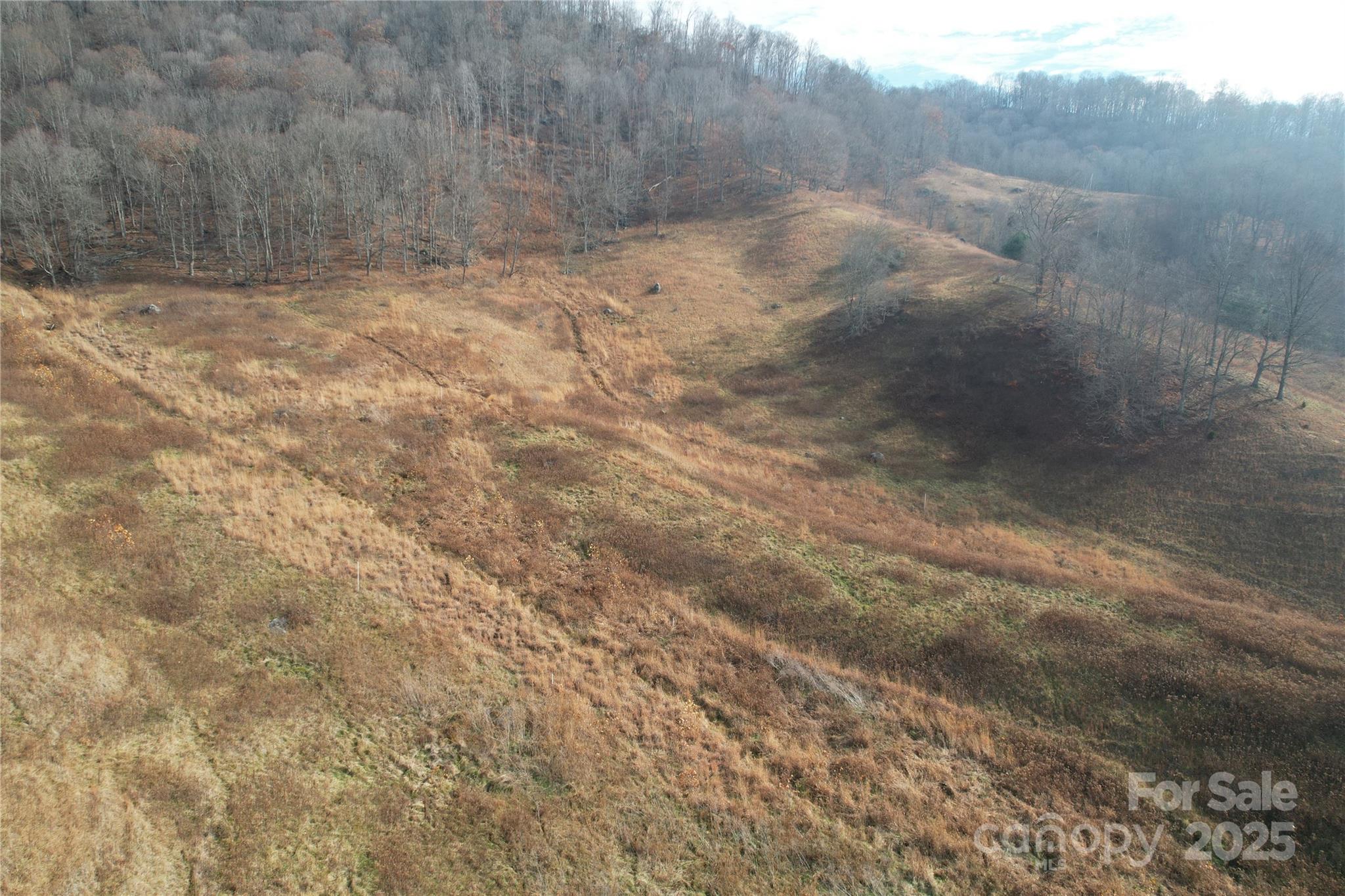 385 Fork Mountain Road Property Photo 13