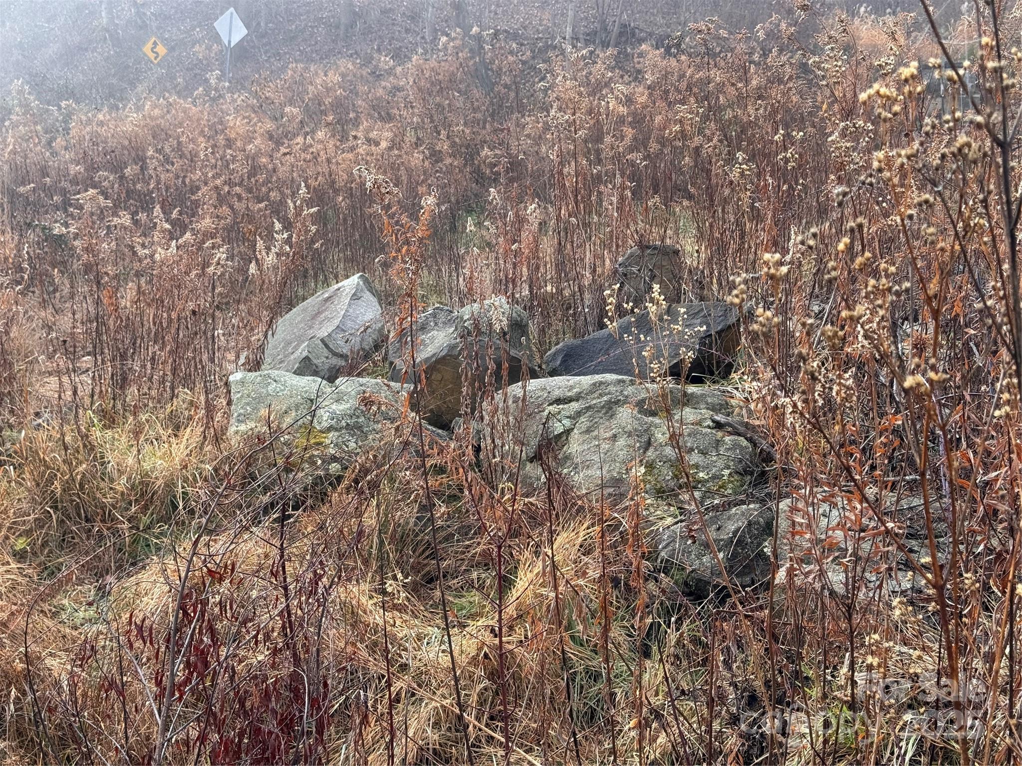 385 Fork Mountain Road Property Photo 16